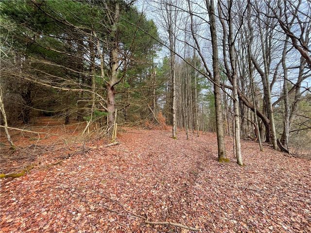 1017 Humphrey Road, Hamilton, NY 13346