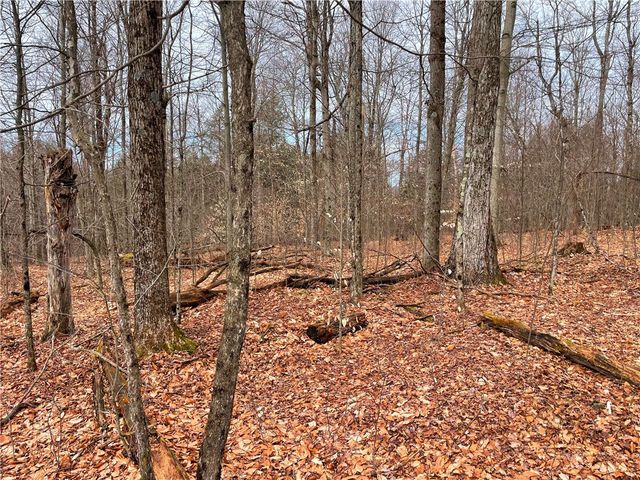 1017 Humphrey Road, Hamilton, NY 13346