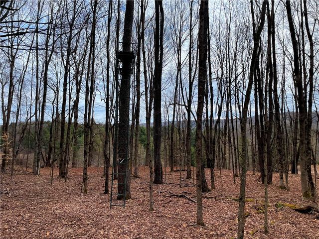 1017 Humphrey Road, Hamilton, NY 13346