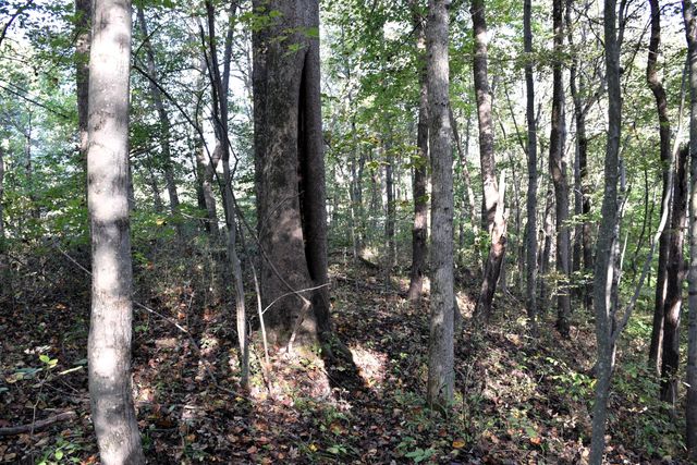 0 Clay Bank Road, Logan, OH 43138