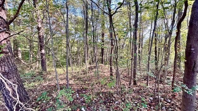 0 Clay Bank Road, Logan, OH 43138