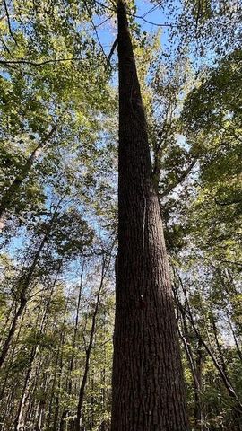 0 Clay Bank Road, Logan, OH 43138