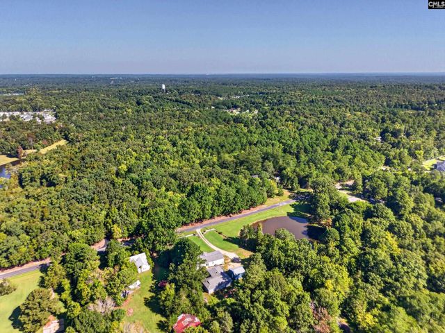 133 Newberg Road, Chapin, SC 29036