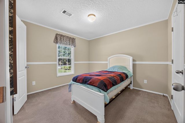 133 Newberg Road, Chapin, SC 29036