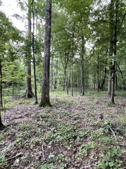 0 Brownfield Rd, Dover, TN 37058
