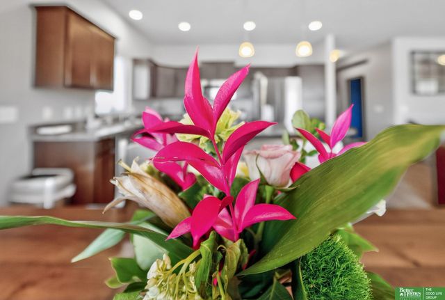 18807 Cottonwood Street, Omaha, NE 68136