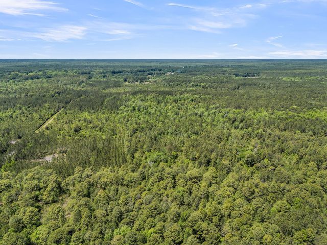 0 Deas Hill Road, Mcclellanville, SC 29458