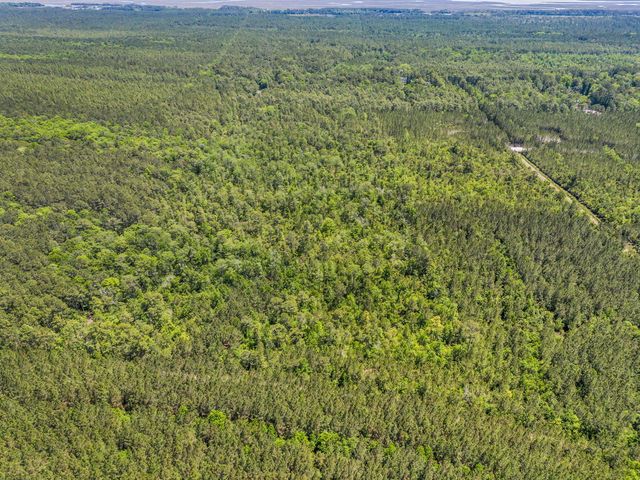 0 Deas Hill Road, Mcclellanville, SC 29458