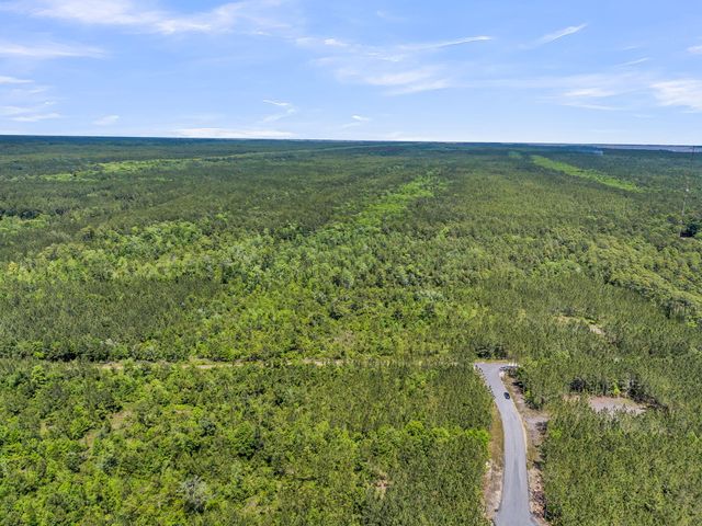 0 Deas Hill Road, Mcclellanville, SC 29458