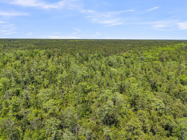 0 Deas Hill Road, Mcclellanville, SC 29458