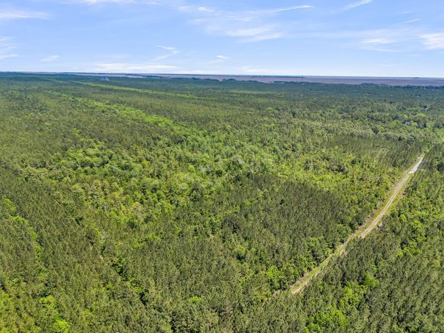 0 Deas Hill Road, Mcclellanville, SC 29458