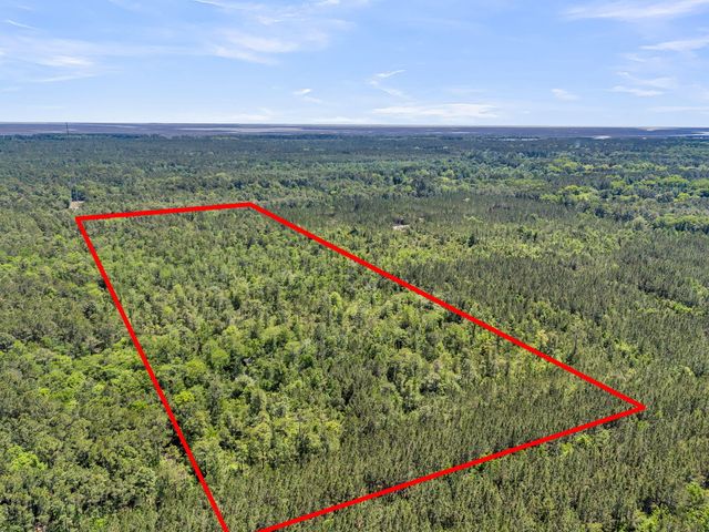 0 Deas Hill Road, Mcclellanville, SC 29458
