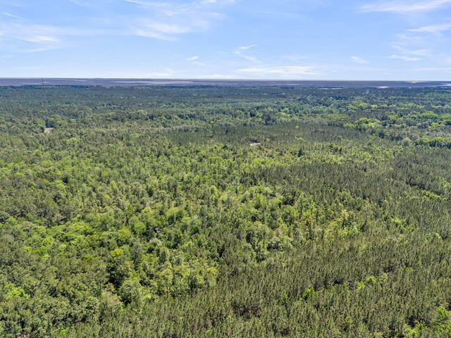 0 Deas Hill Road, Mcclellanville, SC 29458