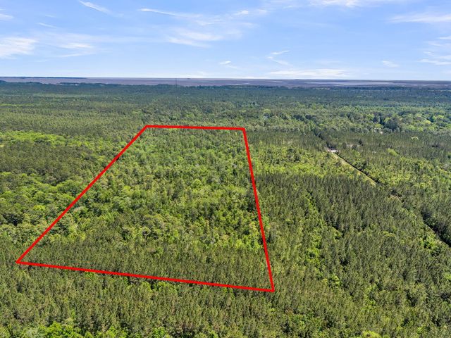 0 Deas Hill Road, Mcclellanville, SC 29458