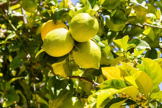 7517 Bernice Ave, Rohnert Park, CA 94928