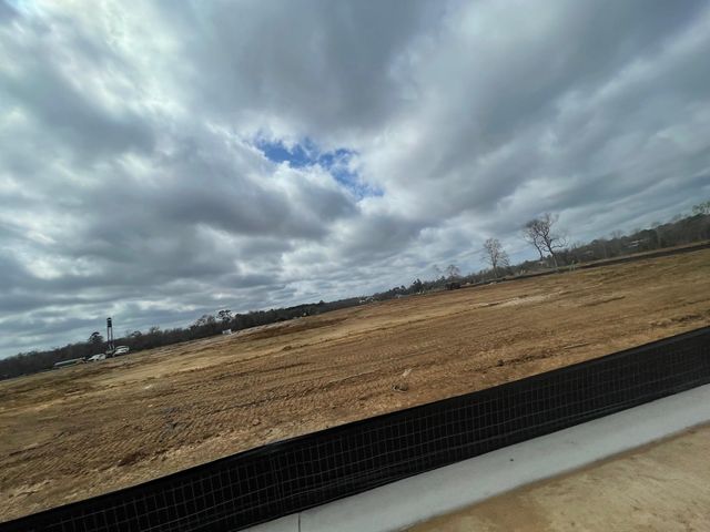 11615 Ruffian Drive, Willis, TX 77318