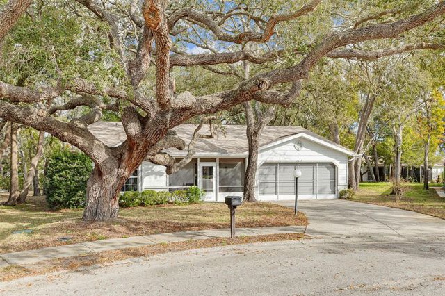 8619 GOLD PINE DRIVE, Port Richey, FL 34668