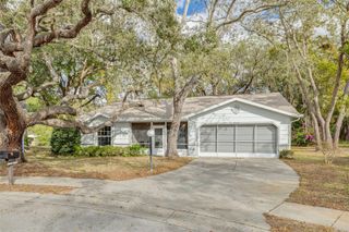 8619 GOLD PINE DRIVE, Port Richey, FL 34668