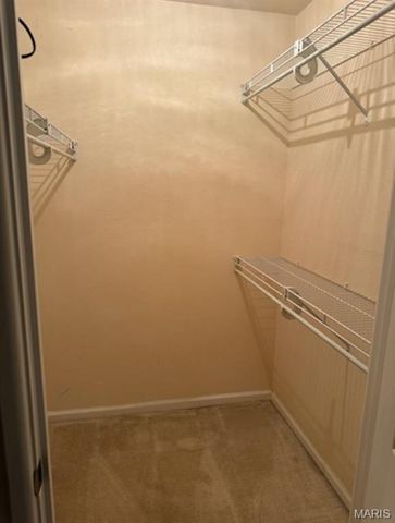 1431 Willow Brook Cove 7, St Louis, MO 63146