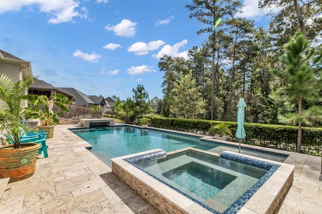 15647 Audubon Park Drive, Magnolia, TX 77354