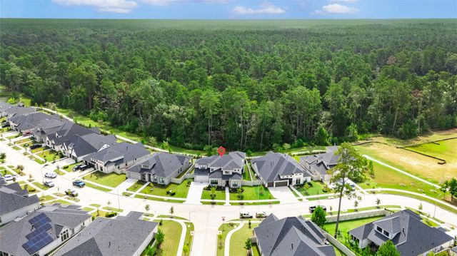 15647 Audubon Park Drive, Magnolia, TX 77354