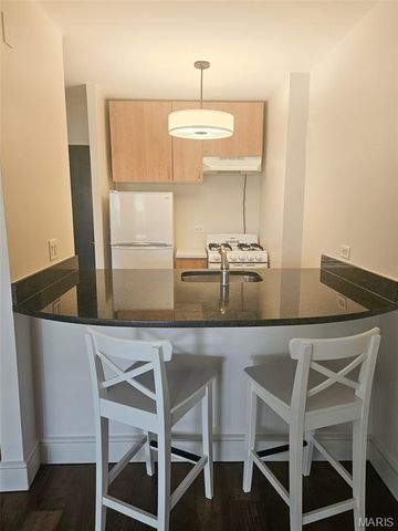210 17th Street 309, St Louis, MO 63103