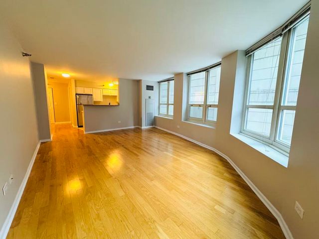 345 N LaSalle Drive 306, Chicago, IL 60654