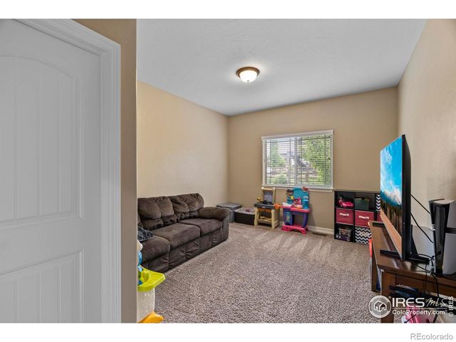 4135 Carroway Seed Drive, Johnstown, CO 80534