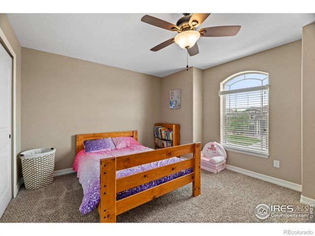 4135 Carroway Seed Drive, Johnstown, CO 80534