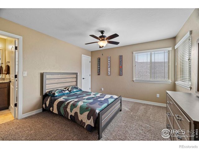 4135 Carroway Seed Drive, Johnstown, CO 80534