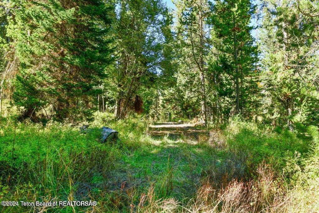 6050 W - Road, Wilson, WY 83014 photo 3