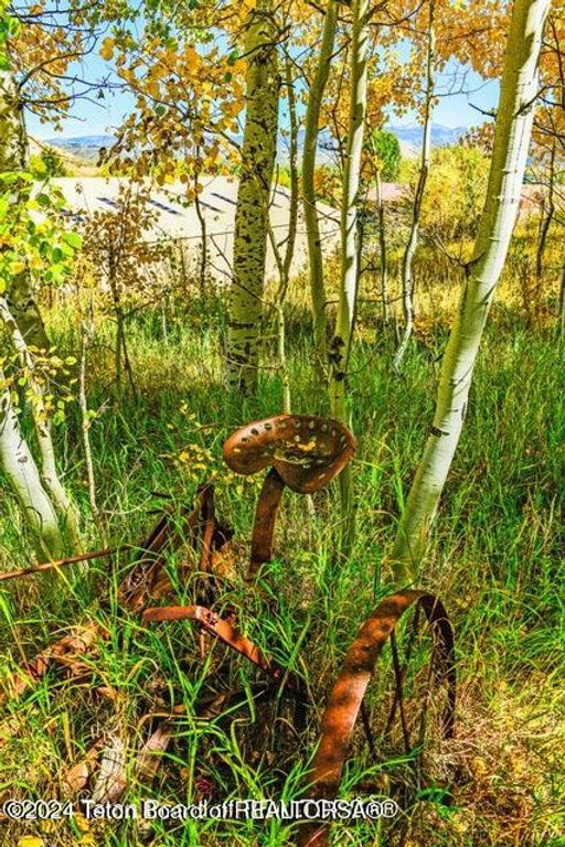 6050 W - Road, Wilson, WY 83014 photo 4