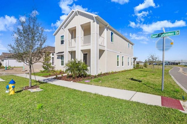 28793 SWEET PERSIMMON DRIVE, Wesley Chapel, FL 33543