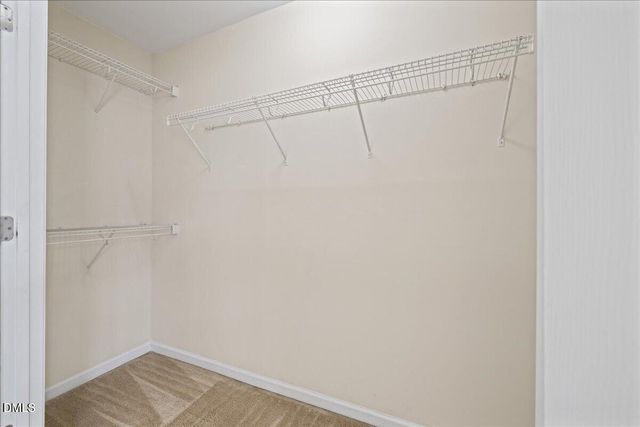 3004 Berkeley Springs Place, Raleigh, NC 27616