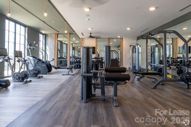 536 W Tremont Avenue A2, Charlotte, NC 28203