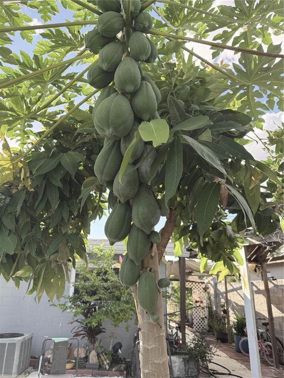 Image 52 of property listing at 6313 WILLOW OAK LANE, Orlando, FL 32809