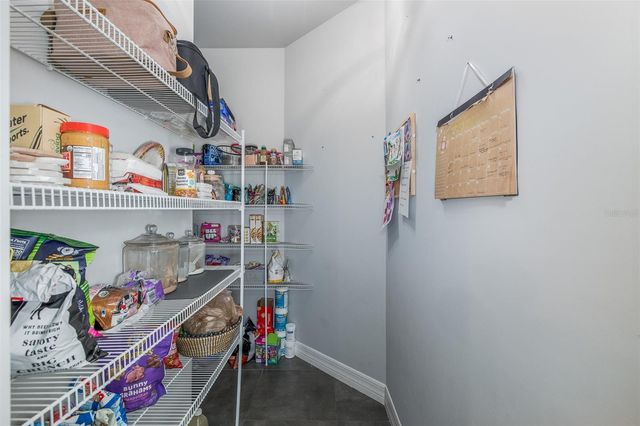 15027 WIND WHISPER DRIVE, Odessa, FL 33556