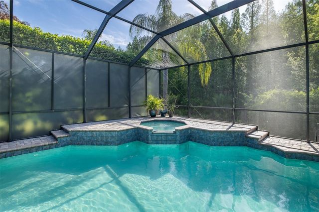 15027 WIND WHISPER DRIVE, Odessa, FL 33556