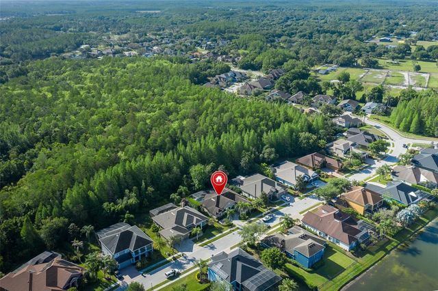 15027 WIND WHISPER DRIVE, Odessa, FL 33556