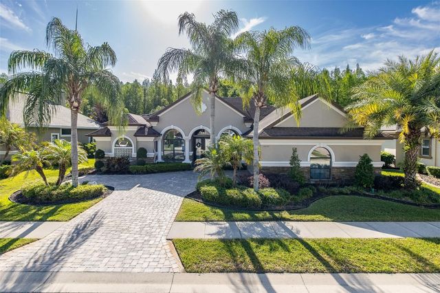 15027 WIND WHISPER DRIVE, Odessa, FL 33556