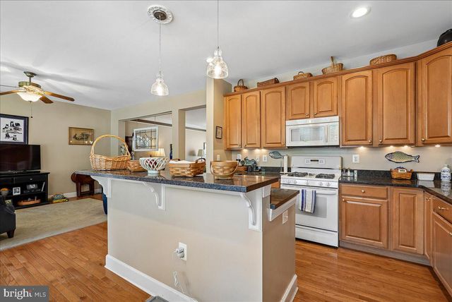 43430 WILD DUNES SQ, Leesburg, VA 20176