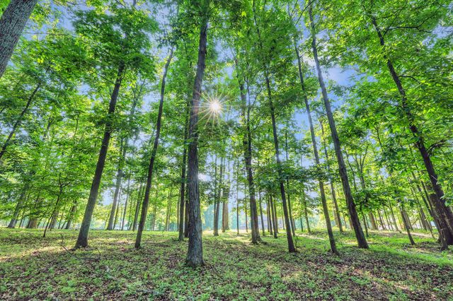 3119 Chase Point Dr, Franklin, TN 37067