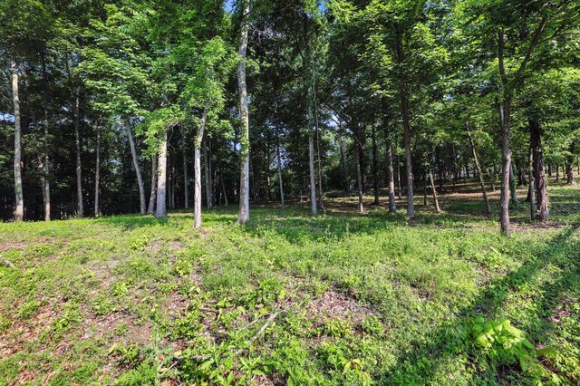 3119 Chase Point Dr, Franklin, TN 37067