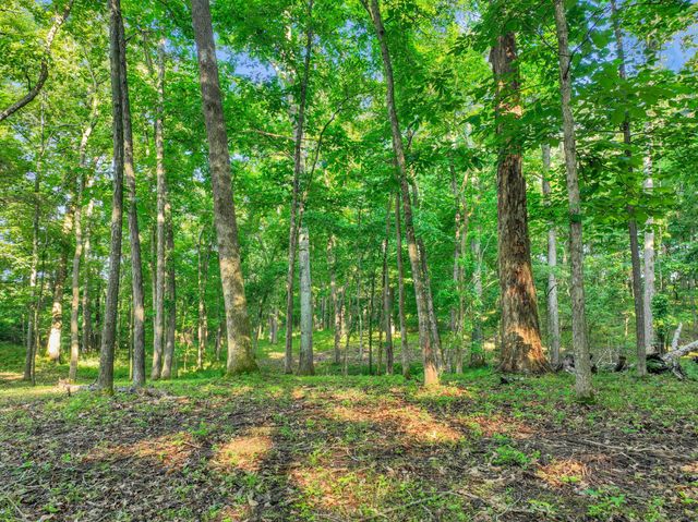 3119 Chase Point Dr, Franklin, TN 37067