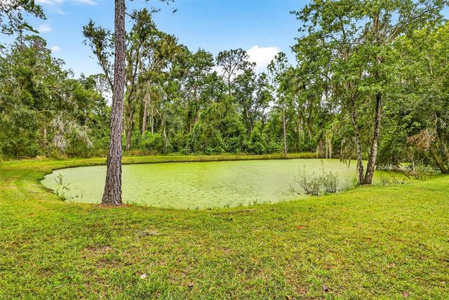 13887 GAVIN ROAD, Dover, FL 33527