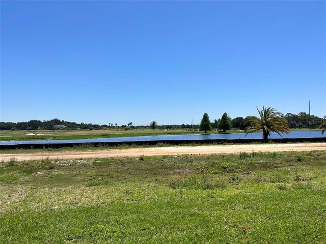 1041 BLUE JAY DRIVE, Davenport, FL 33837