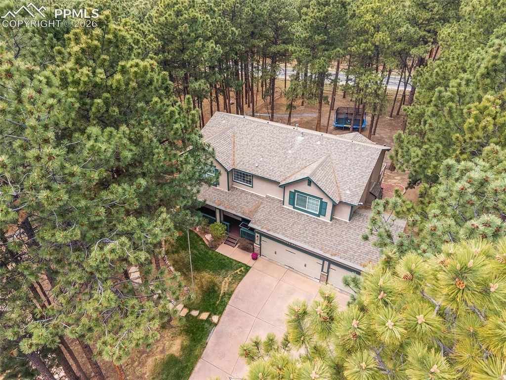 15973 Longmeadow Lane, Colorado Springs, CO 80921 — photo 5
