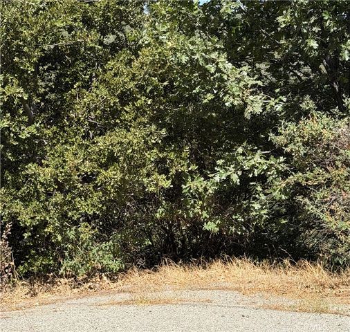 0 Brentwood, Lake Arrowhead, CA 92352