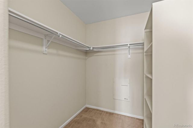 8399 Stonybridge Circle, Highlands Ranch, CO 80126