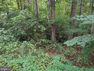 203 BATTLEFIELD RD, Locust Grove, VA 22508